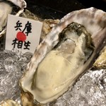 Oyster and Wine Bar RITZ - 