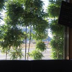 チャヤ ジャルディーノ シロヤマ - 店内（座席より右まわり）➡