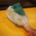 Sushi Masa - ボタン海老
