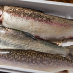 Higasa Amagasa - 信州でも中々食べられない稀少な川魚も毎週入荷。