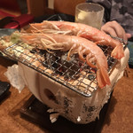 産直海鮮居酒屋 金魚 - 