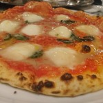 マッシモッタヴィオ - 