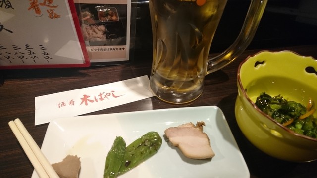 Shuko Kibayashi photo 4