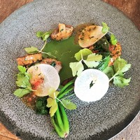 naturam kazuya sugiura - 山形豚のロースト、菜の花、蓮根のロースト、椎茸、ヴィネグレットヴィアンド、ほうれん草