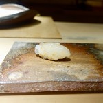 菊鮨 - ［2018/12］寿司① あおりいかの握り