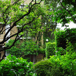 NISHIann cafe - 住宅街の隠れ家カフェ