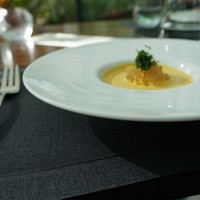 TRATTORIA CREATTA - 