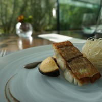 TRATTORIA CREATTA - 