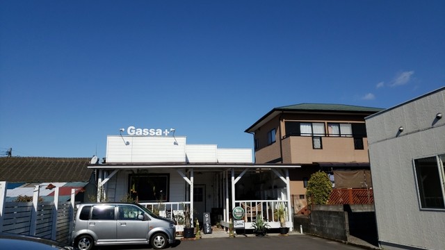 居酒屋がっさ 都城 居酒屋 食べログ 居酒屋がっさ 都城 居酒屋 食べログ