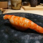 鮨 唐島 - 車海老