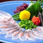 浜松の新名物！！「浜名湖うなぎの刺身」が食べられます。