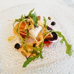 クリマ ディ トスカーナ - 前菜　蒸した真鱈　冷製サラダ仕立て　トマトとたらこのソース　水耕栽培のチコリ　野生のルッコラ　ケッパー　トマトの皮のフライ