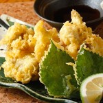 ウラニワ 千歳船橋店