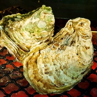 Oyster from the Seto Inland Sea [Ichitsuku-kun] are worth a meal.