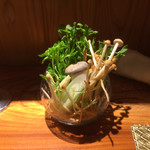 東京肉しゃぶ家 - 