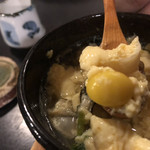 虎丸 - 銀杏いました