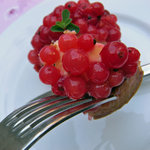 ドゥブルベ・ボレロ - タルト・グロゼイユ