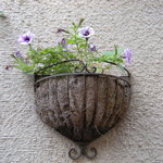 ドゥブルベ・ボレロ - 