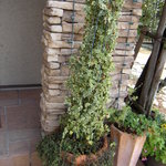 ドゥブルベ・ボレロ - 