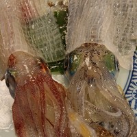 河太郎 中洲本店 - 