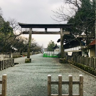 阿蘇神社就在旁邊