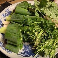比良山荘 - 