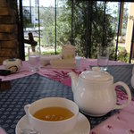 ドゥブルベ・ボレロ - ベルベイヌ（ストレート）