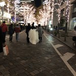 Burassuriozami Marunouchi - 丸の内仲通りイルミネーションを歩く新婚カップル
