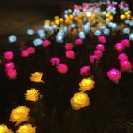 味里庵 歩゛ら里 - 