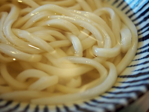 うどん屋 椀白>