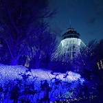 99272406 - 江ノ島イルミネーション 