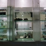 Ah Yat Abalone Seafood Restaurant - 