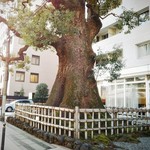 クリマ ディ トスカーナ - 