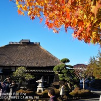 藤右ェ門 栄 - 