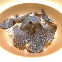 TACUBO - 北海道白アスパラのリゾットに黒トリュフ 
