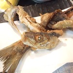 アキバの酒場 - まいふぇいばりっと骨せんべい♡