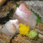 和菜 やなぎ  ふぐ はも - 