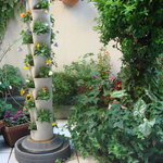 ラブレー - 広いテラス