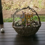 Le さんざ・ぷりゅ - ベランダにあるお花　ほのぼの