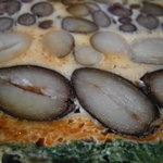 Le さんざ・ぷりゅ - 豆のテリーヌ　アップ