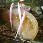 Le さんざ・ぷりゅ - 付け合せのトマトピクルス