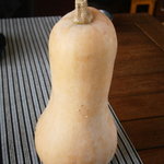 Le さんざ・ぷりゅ - バターナッツカボチャ　面白い素材