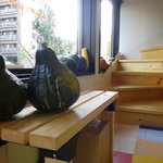 The Life Stock by HOKKAIDO LIFE DEPARTMENT - ベンチに置かれたかぼちゃが秋っぽくて可愛い☆