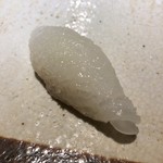 すし匠 まさ - 白烏賊