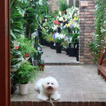 ニド・カフェ - 1F エレベーター横