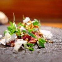 TACUBO - 