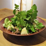 福岡 炉端もん - 洋梨とクレソンのサラダ