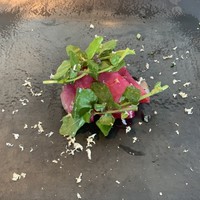 リストランテ･ヒロ チェントロ 丸ビル店 - 