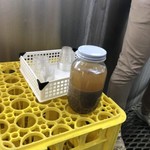 ヤッホーブルーイング - 