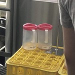 ヤッホーブルーイング - 